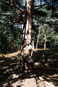 Dominique Bona, dit doumé, devant l’arbre foudroyé, dans la propriété de son père 
à Santo Pietro di Venaco. © Béatrice Lucchese